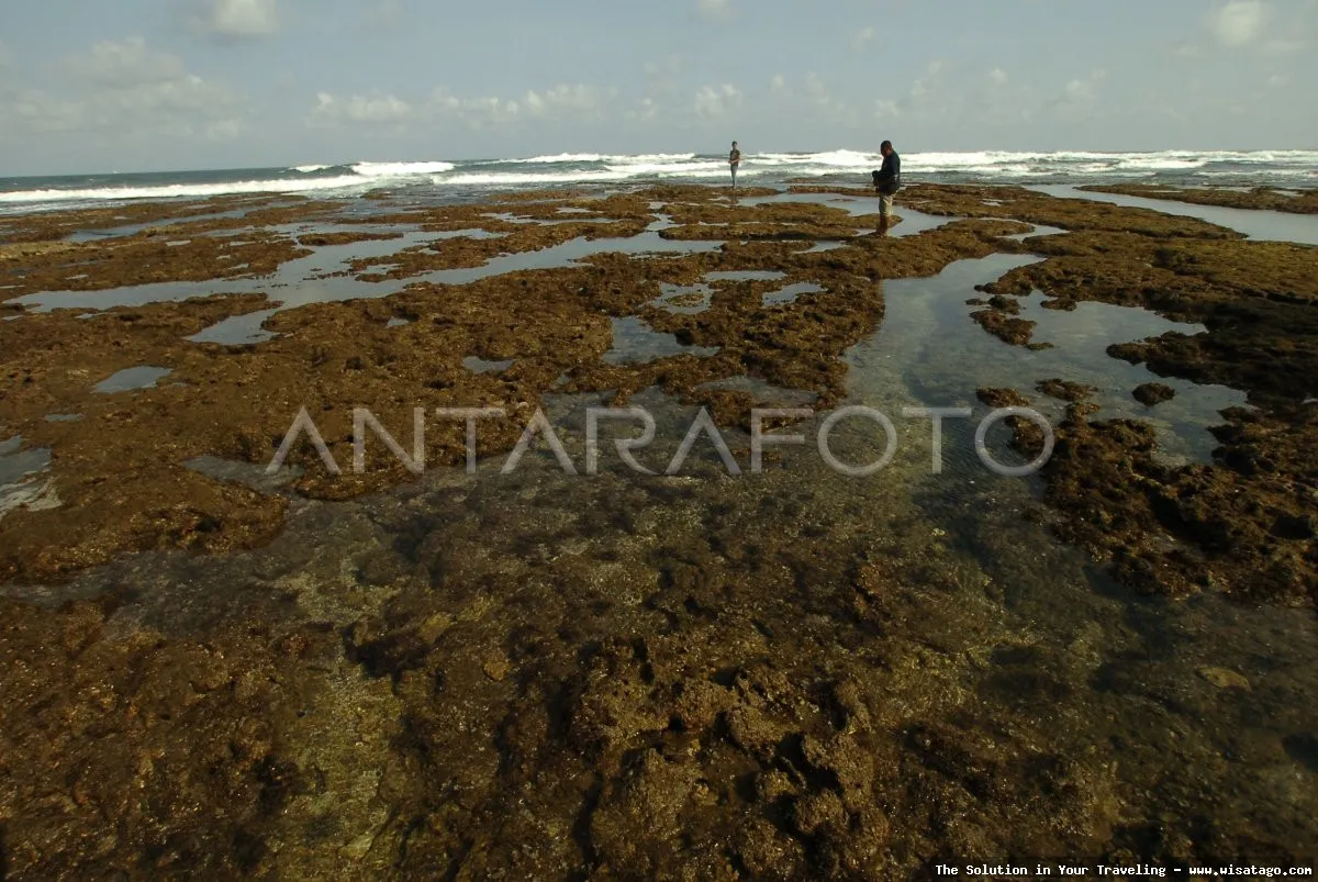 wisata Pantai Cipatujah yang menawan