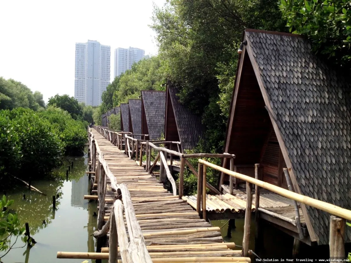 wisata Pantai Indah Kapuk yang memukau
