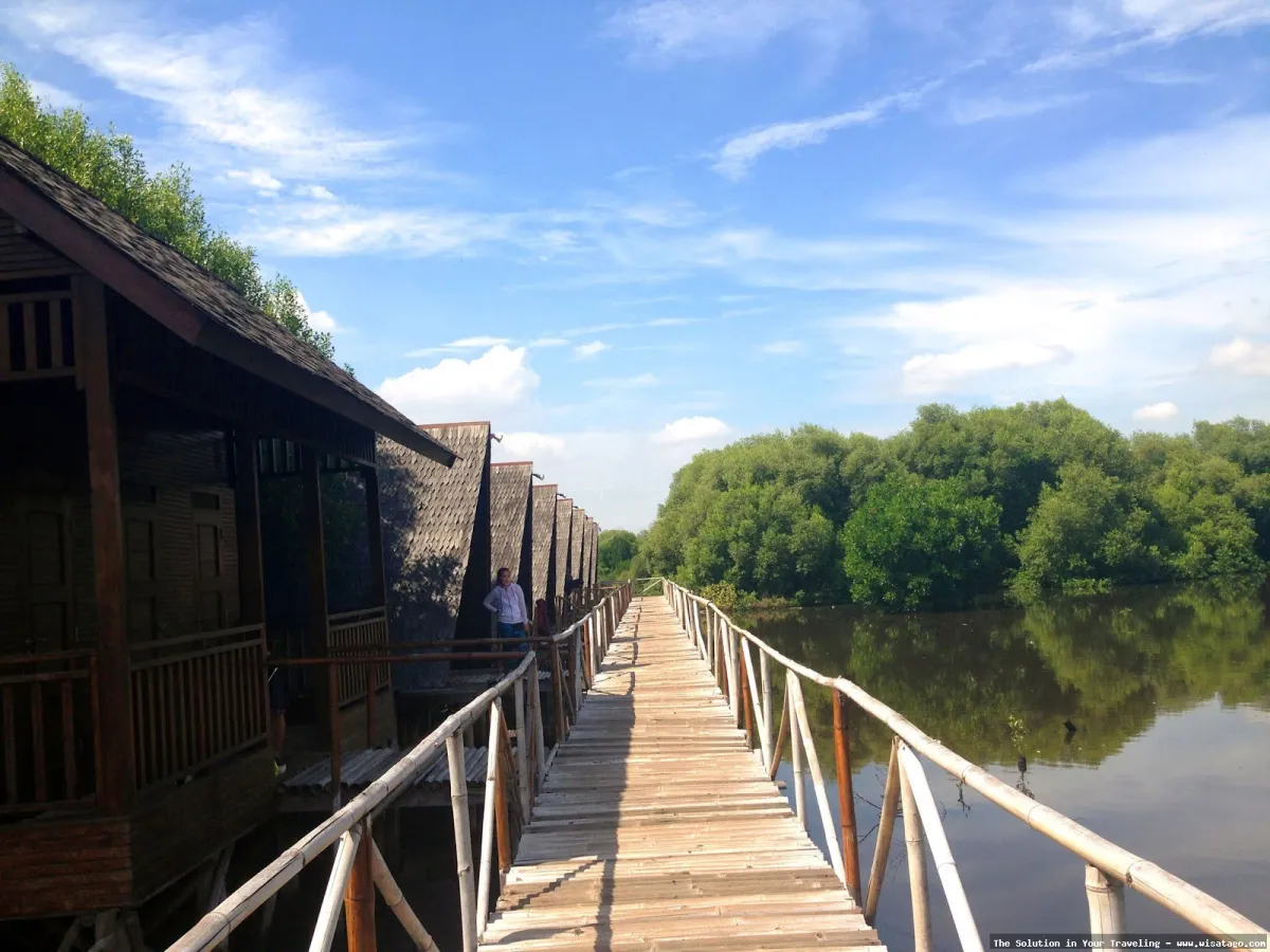 wisata Pantai Indah Kapuk yang memukau
