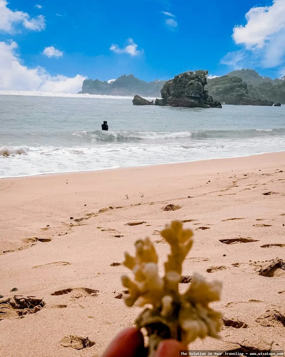 wisata Pantai Kondang Merak mempesona.