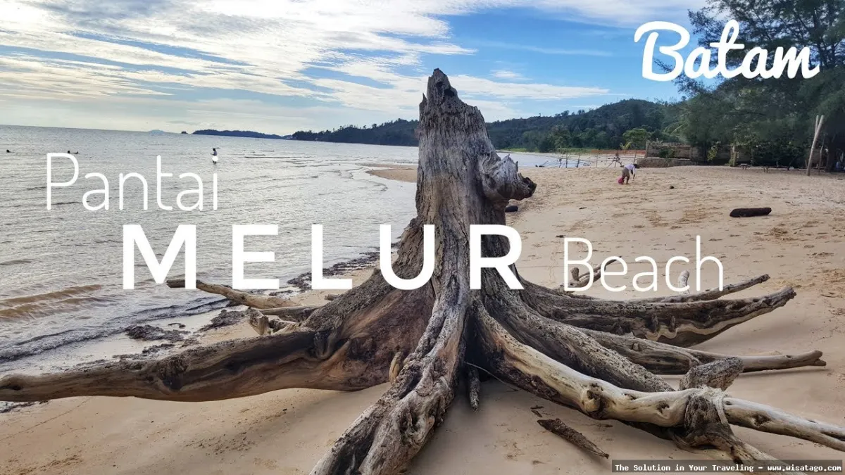 wisata Pantai Melur Batam yang indah