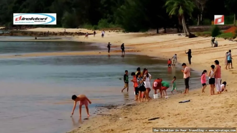 wisata Pantai Melur Batam yang indah