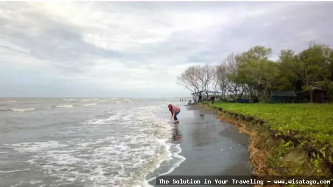 Wisata Pantai Muara Beting Bekasi indah