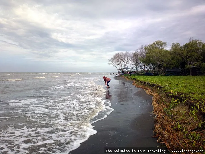 Wisata Pantai Muara Gembong yang menawan