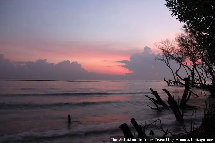 wisata Pantai Muara Gembong yang indah