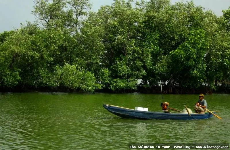 Wisata Pantai Muara Gembong yang menawan