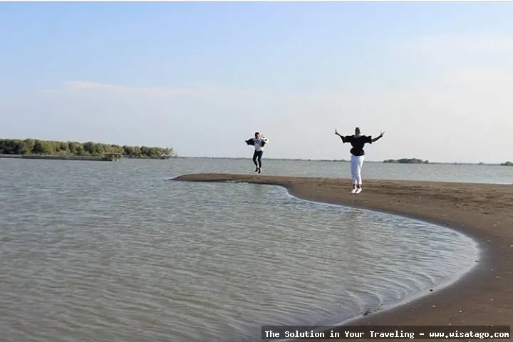 Wisata Pantai Muara Gembong yang mempesona