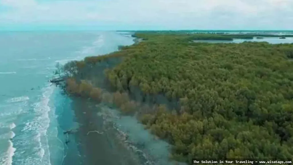 wisata Pantai Muara Gembong yang indah