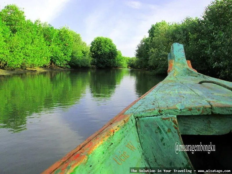 wisata Pantai Muara Gembong yang indah
