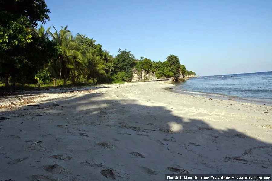 Wisata Pantai Muara Gembong yang memukau
