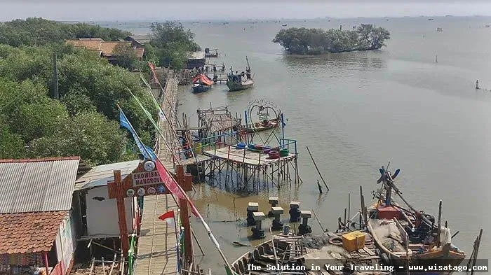 Wisata Pantai Muara Gembong yang memukau