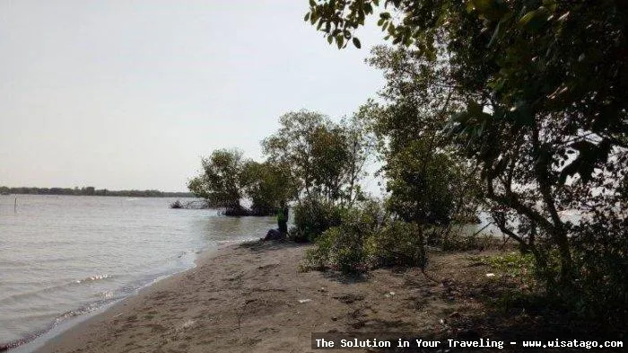 wisata Pantai Muara Gembong yang indah