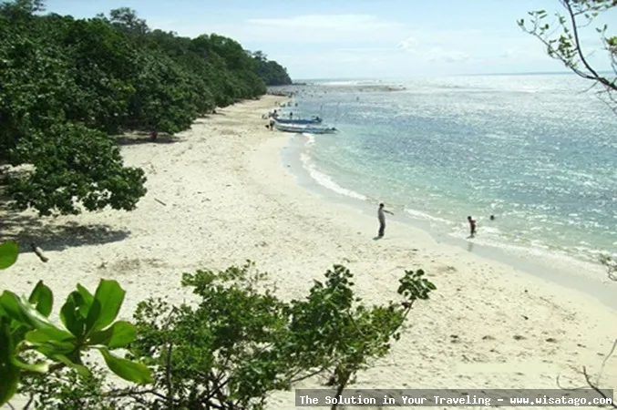 Wisata Pantai Muara Gembong yang memukau