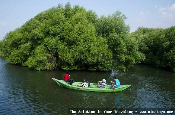 Wisata Pantai Muara Gembong yang memukau