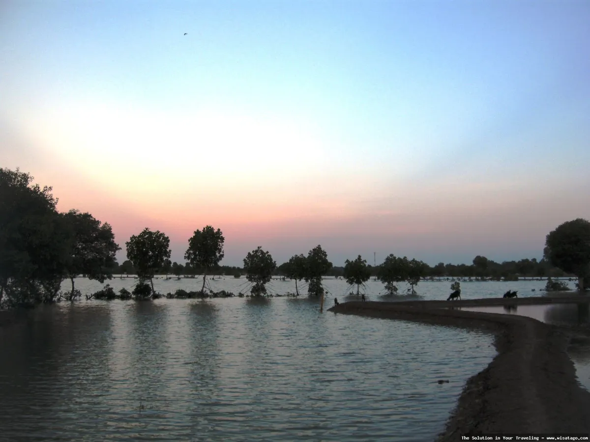 Wisata Pantai Muara Gembong yang mempesona