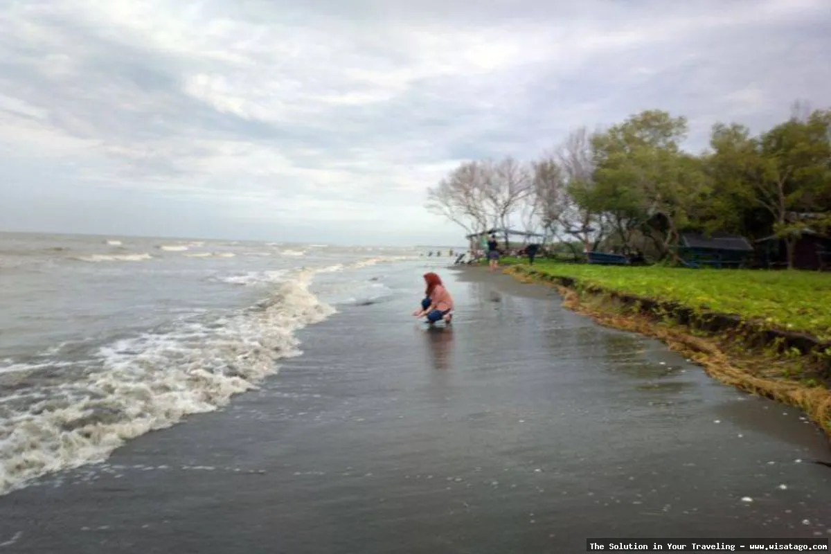 wisata Pantai Muara Gembong yang indah