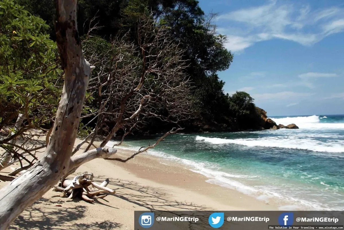 Wisata Pantai Ngalur, keindahan tersembunyi