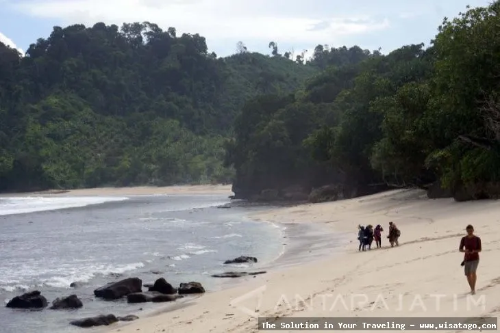 wisata Pantai Ngalur yang menawan.