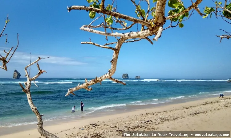 wisata Pantai Ngalur yang mempesona