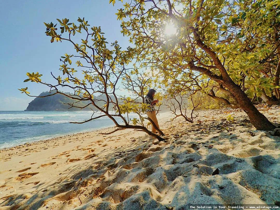 wisata Pantai Ngalur yang menawan