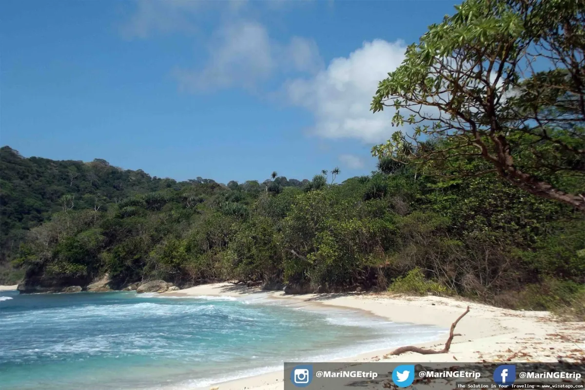 Wisata Pantai Ngalur yang mempesona.