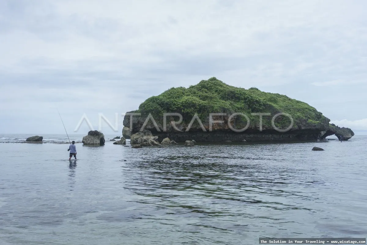 Wisata Pantai Ngandong, pasir putih mempesona