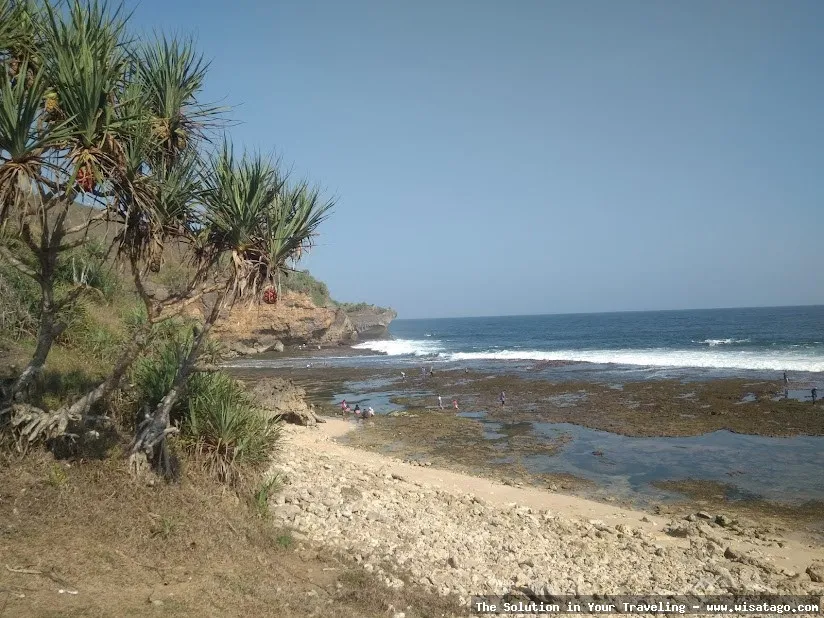 wisata Pantai Ngeden yang mempesona
