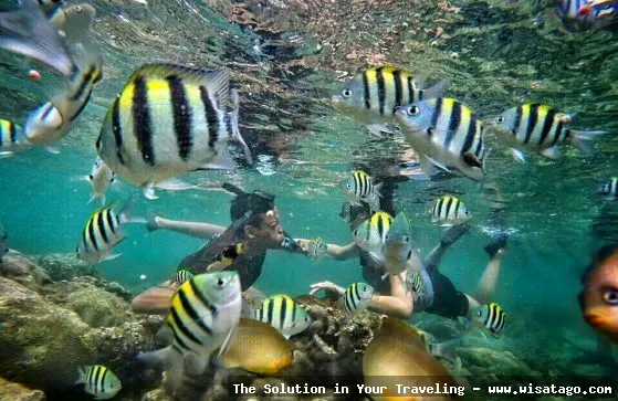 wisata Pantai Nglambor GunungKidul yang mempesona