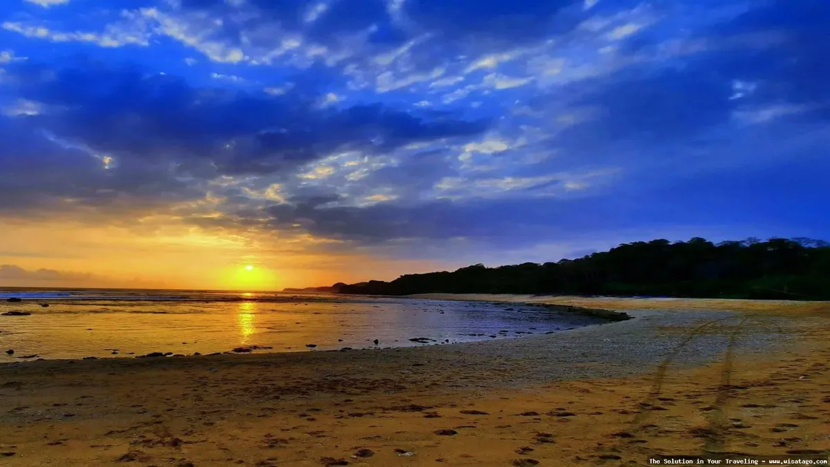 Wisata Pantai Ngliyep Malang mempesona.