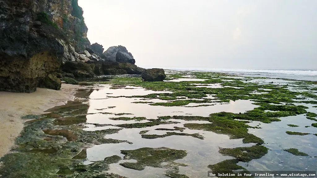 wisata Pantai Ngrumput yang menawan
