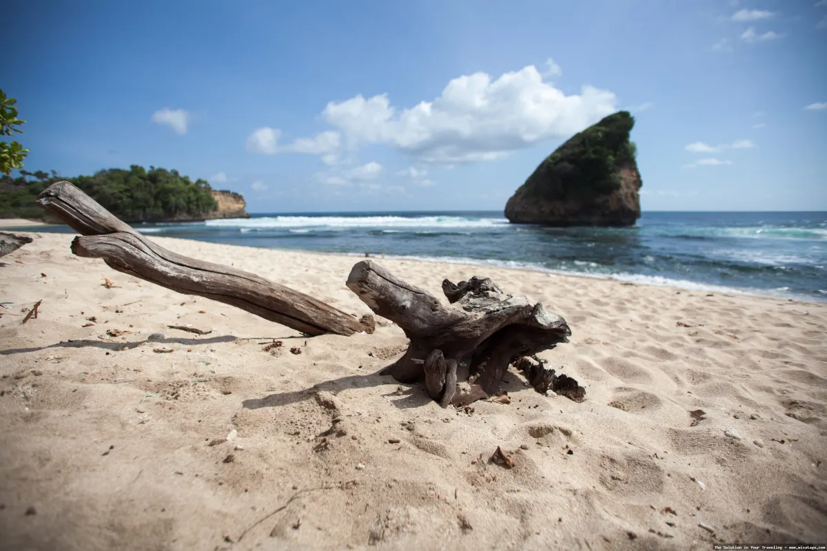 Wisata Pantai Ngudel, pasir putih menawan