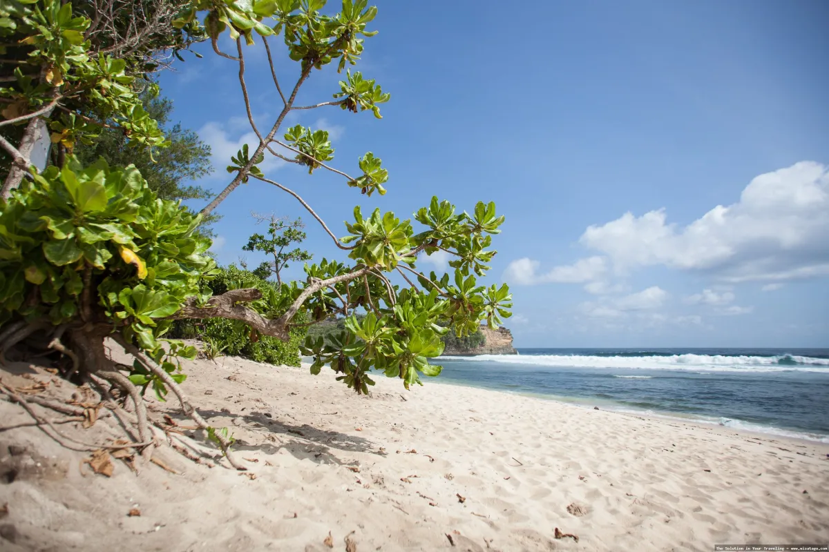 Wisata Pantai Ngudel yang mempesona alami