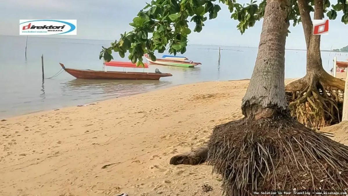 Wisata Pantai Nongsa yang mempesona.
