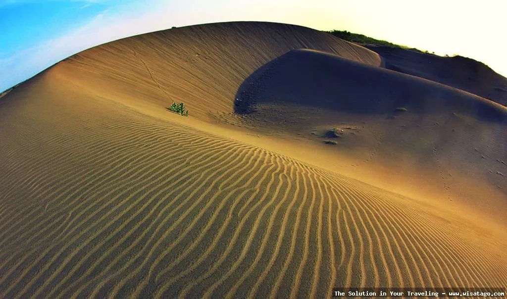 wisata Pantai Parangkusumo Yogyakarta yang indah