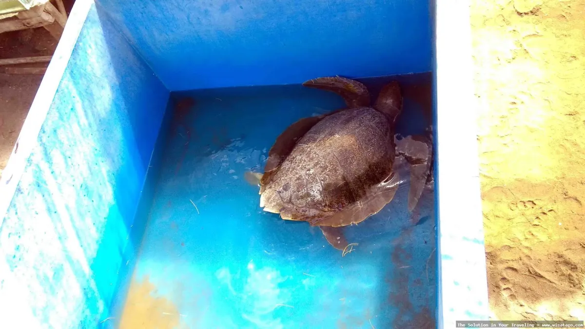 Wisata Pantai Pelangi yang memukau.