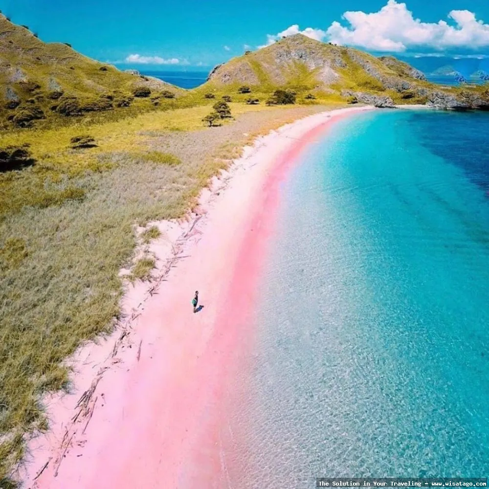 Wisata Pantai Pink Lombok nan eksotis