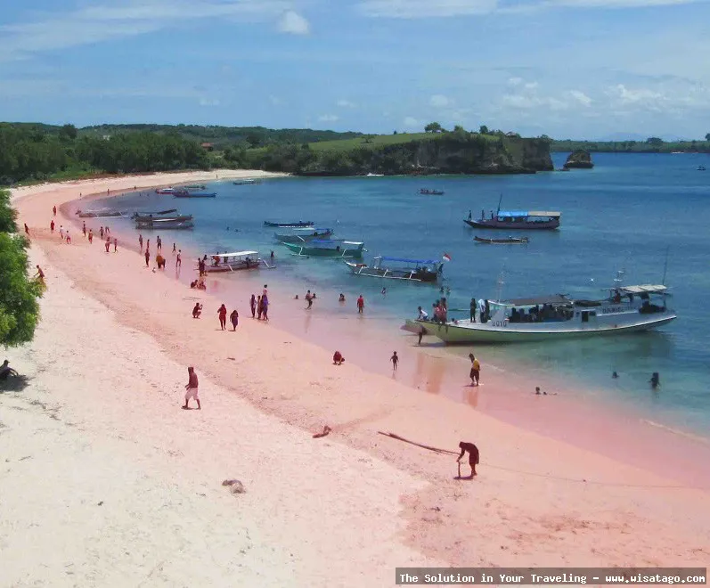 wisata Pantai Pink Lombok mempesona