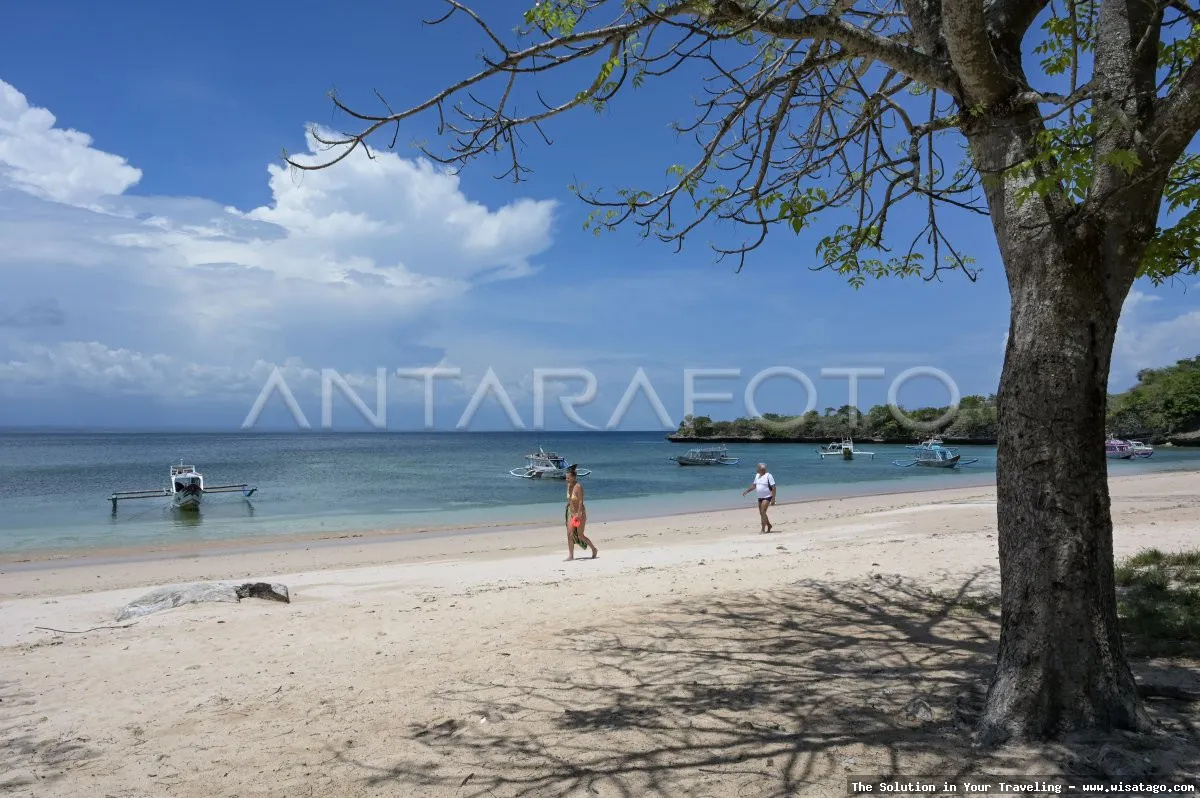 wisata Pantai Pink Lombok menawan