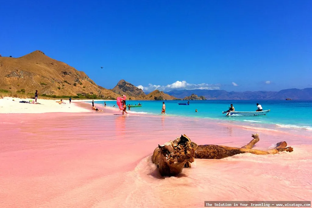wisata Pantai Pink Lombok eksotis menawan