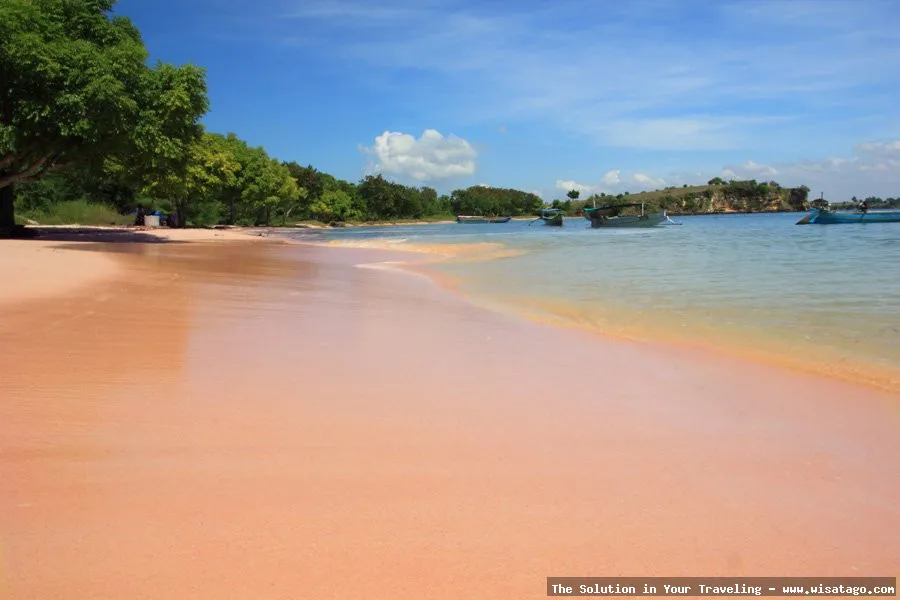 wisata Pantai Pink Lombok menawan