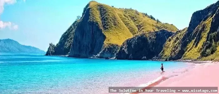 wisata Pantai Pink Lombok menawan