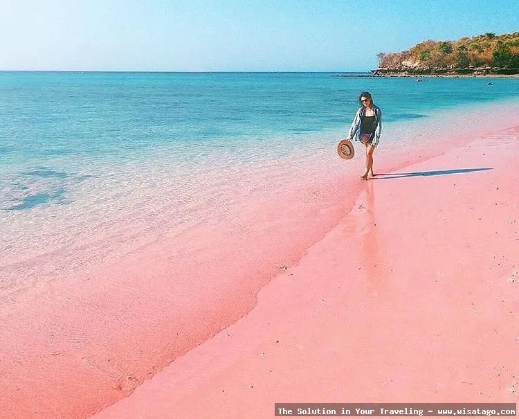 Wisata Pantai Pink Lombok eksotis.