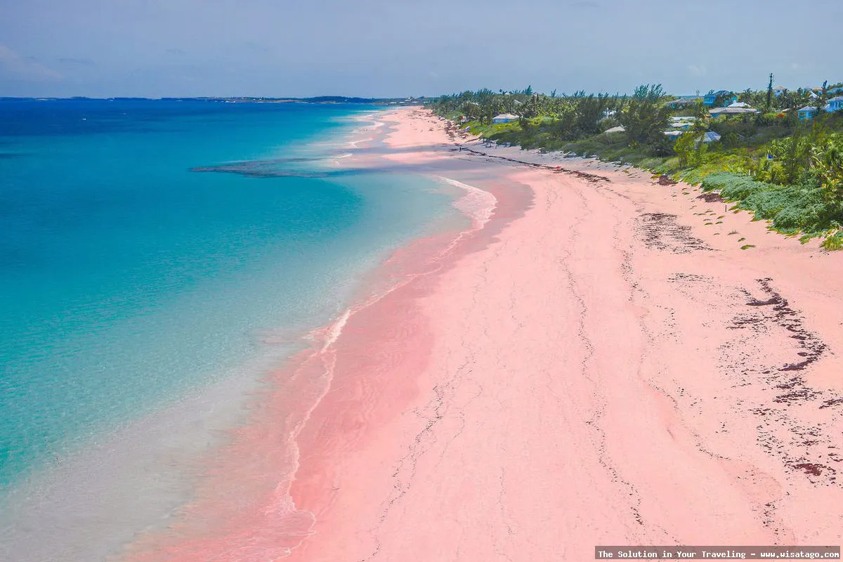 wisata Pantai Pink Lombok menawan