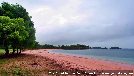 wisata Pantai Pink Lombok mempesona
