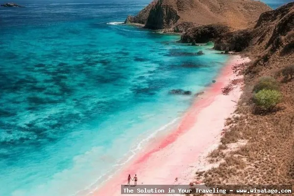 wisata Pantai Pink Lombok menawan