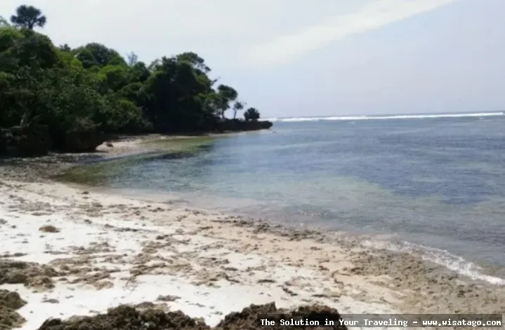 wisata Pantai Plengkung Banyuwangi yang menawan