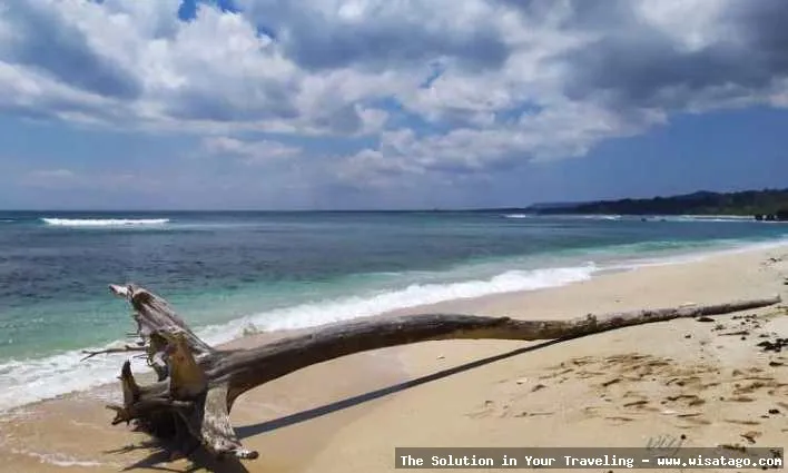 Wisata Pantai Plengkung Banyuwangi, ombak menantang