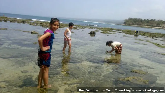 wisata Pantai Rancabuaya Garut yang indah