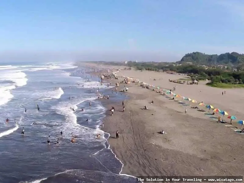 wisata Pantai Samas, pasirnya menawan