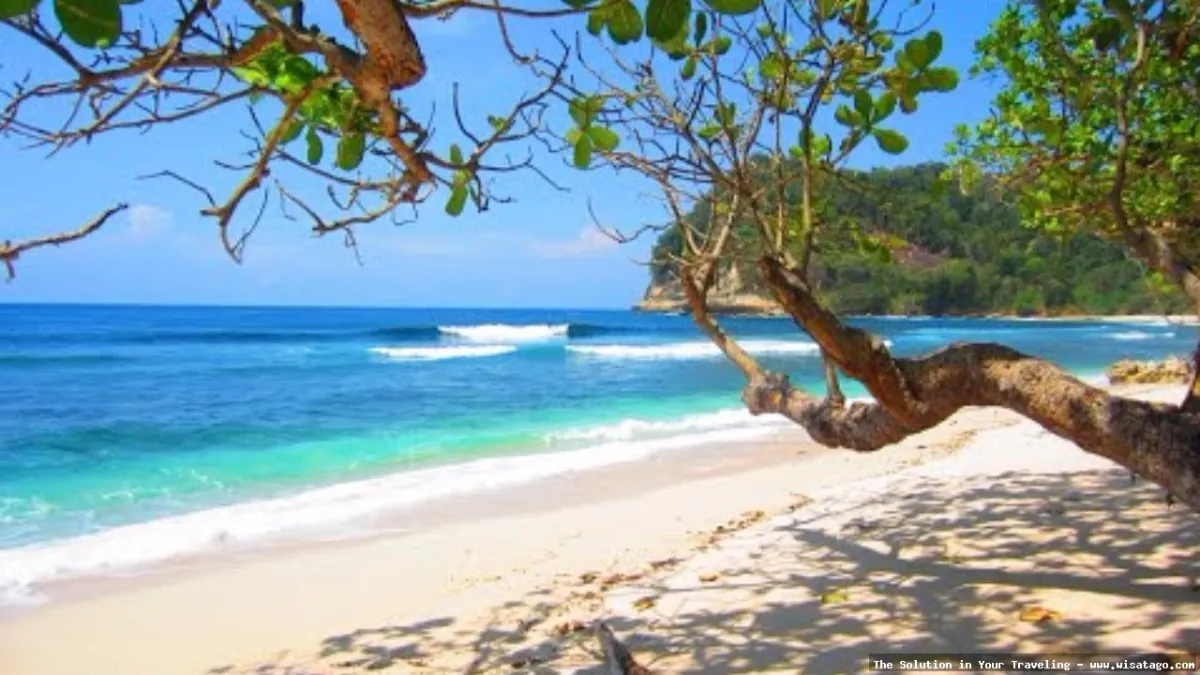 wisata Pantai Sanggar dengan pasir putih